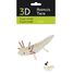 3D Paper model - Axolotl FR-11755 Fridolin 2