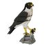 3D Paper model - falcon FRI-11766 Fridolin 2