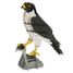 3D Paper model - falcon FRI-11766 Fridolin 1