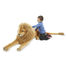 Lion Giant Stuffed Animal MD12102 Melissa & Doug 2