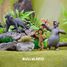 Shere Khan BU12376-3884 Bullyland 5