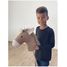 Henry Hobby Horse EG140476 Egmont Toys 5