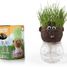 Mr GREEN - grass kit RC-015417 Radis et Capucine 1