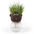 Mr GREEN - grass kit RC-015417 Radis et Capucine 2
