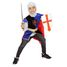 Knight child costume 5-8 years R159902 Rubies 1
