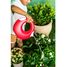 Watering can - Red Cherry - Large QU-171416 Quut 8