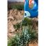 Watering can Ocean - Large QU-172406 Quut 7