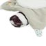 Gaston raccoon doudou K205001 Kaloo 7