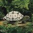 Handpuppet Tortoise FO-2181 Folkmanis 3