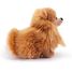 Pomeranian dog plush 22 cm TRU-22347 Trudi 2