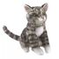 Finger puppet Tabby Cat FO-2791 Folkmanis 1