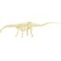 Excavation Kit - Diplodocus UL2824 Ulysse 4