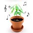 I grow my Dancing Plant RC-028733 Radis et Capucine 2