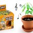 I grow my Dancing Plant RC-028733 Radis et Capucine 1