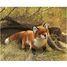 Handpuppet Red Fox FO-2876 Folkmanis 4