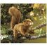 Handpuppet Red Squirrel FO-2880 Folkmanis 3