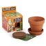 I grow my Bubbling plant RC-029637 Radis et Capucine 2