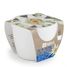 White ceramic pot 8 cm - Edelweiss RC-029656 Radis et Capucine 1