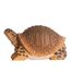 Wudimals Tortoise WU-40704 Wudimals 1