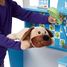 Animal Care Activity Center MD41700 Melissa & Doug 5