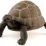 Turtle figurine PA50013-2906 Papo 3