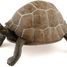 Turtle figurine PA50013-2906 Papo 2