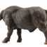 African buffalo figure PA50114-4539 Papo 4