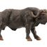 African buffalo figure PA50114-4539 Papo 1