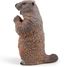 marmot figure PA50128-2927 Papo 5