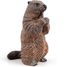 marmot figure PA50128-2927 Papo 3