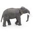 Asian Elephant figure PA50131-2928 Papo 5