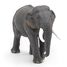 Asian Elephant figure PA50131-2928 Papo 4