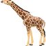 Giraffe head raised PA50236 Papo 6