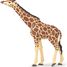 Giraffe head raised PA50236 Papo 1