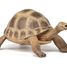 Hermann's Turtle Figurine PA-50264 Papo 1