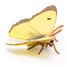 Clouded yellow butterfly figure PA-50288 Papo 2