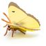Clouded yellow butterfly figure PA-50288 Papo 4