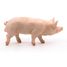 Boar figure PA51044-2942 Papo 2