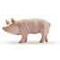 Boar figure PA51044-2942 Papo 1