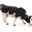 Black and white cow grazing figurine PA51150-3153 Papo 8