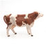 Montbéliarde Cow Figurine PA51165 Papo 2