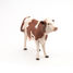 Montbéliarde Cow Figurine PA51165 Papo 4