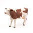 Montbéliarde Cow Figurine PA51165 Papo 6