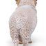 Merino Sheep Figurine PA51174 Papo 6