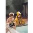 Hooded towel 70x130cm - Mr Lion TX-11-851 Trixie 5