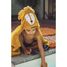 Hooded towel 70x130cm - Mr Lion TX-11-851 Trixie 6