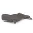 Humpback whale figure PA56021 Papo 2