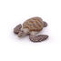 Loggerhead Turtle Figurine PA56005-2937 Papo 2
