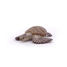 Loggerhead Turtle Figurine PA56005-2937 Papo 3