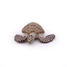 Loggerhead Turtle Figurine PA56005-2937 Papo 4